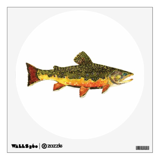 Gallery For   Brook Trout Clip Art