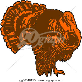 Stock Illustration   Vector Turkey Bird   Clip Art Gg66146159