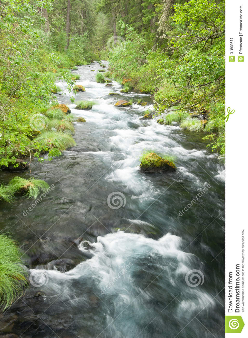 Stream Flow Over Rocks In A Beautiful Forest Royalty Free Stock    