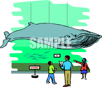 Clipart Picture Of A Marine Life Museum Exhibit