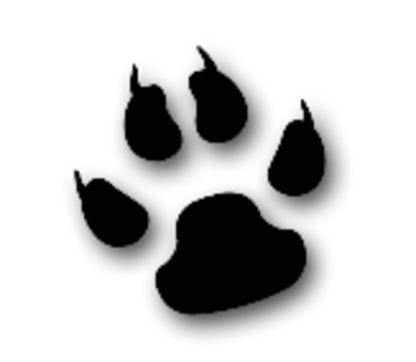 Cool Cat Animal Paw   Free Images At Clker Com   Vector Clip Art