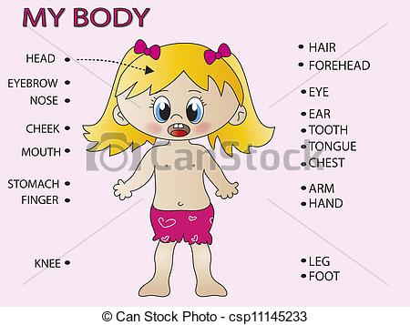 Drawings Of My Body Csp11145233   Search Clipart Illustration And