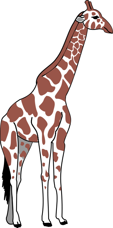 Exhibit Clipart Giraffe01 Animal Clipart Png
