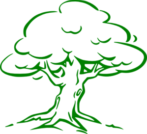 Green Oak Tree Clip Art At Clker Com   Vector Clip Art Online Royalty    