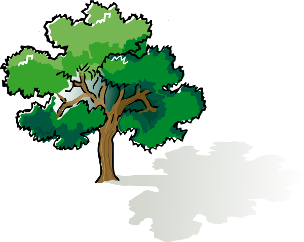 Oak Tree Clip Art At Clker Com   Vector Clip Art Online Royalty Free