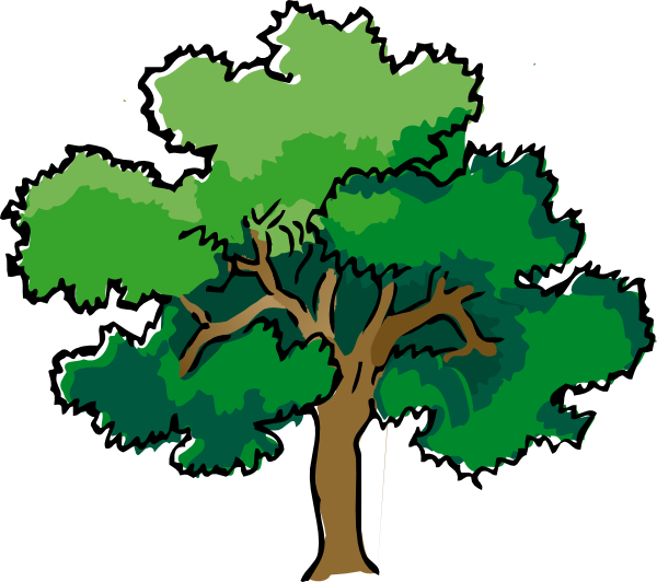 Oak Tree Clip Art At Clker Com   Vector Clip Art Online Royalty Free    