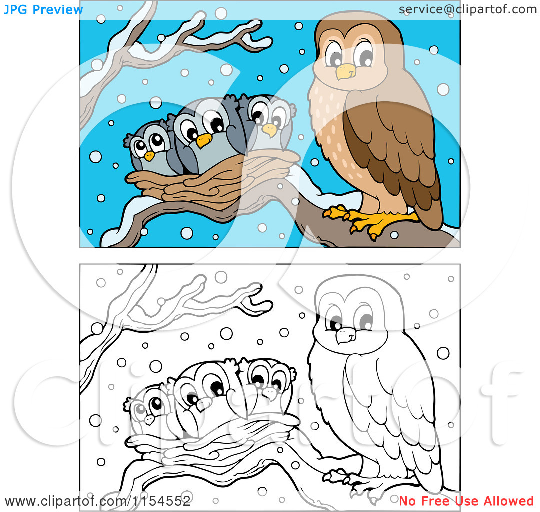 Owl And Chicks In A Nest   Royalty Free Vector Clipart By Visekart