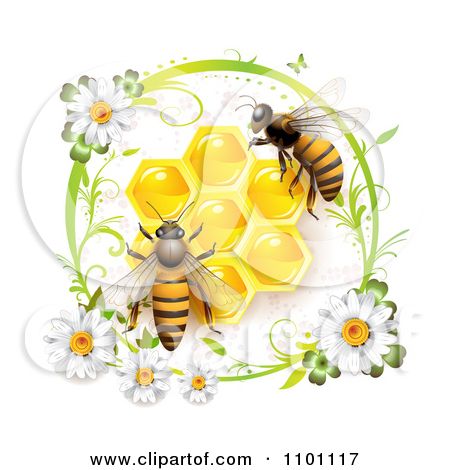 Honeycomb Tattoo Designs   Clipart Honey Bees Over Honeycombs In A