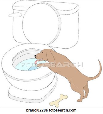 Illustration Of Dog Drinking From Toilet Braucl0228s   Search Clip Art