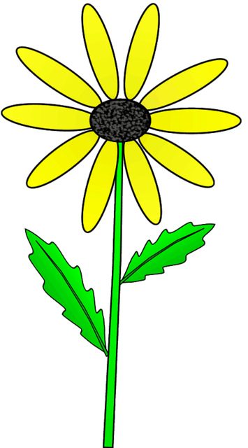 Yellow Daisy On Stem With Outline Clip Art Sketch Lge 15 Cm   Flickr