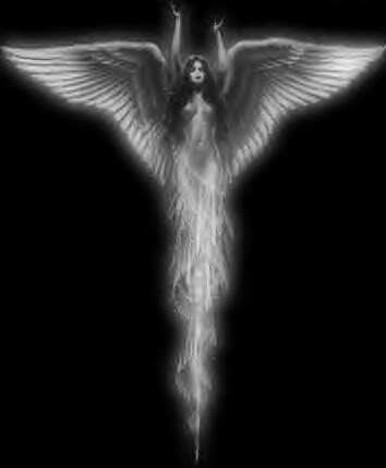 And White Gothic Angel Graphics Code   Black And White Gothic Angel    