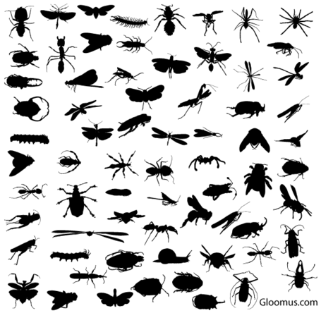 Animals   Wildlife   Insect Silhouettes Vector Graphics Free Download