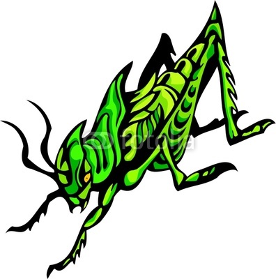 Beetles Predatory Insects Clipart Digital Clipart See Portfolio