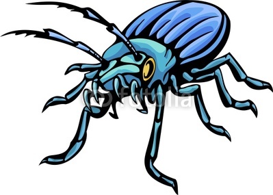     Beetles Predatory Insects Clipart Digital Clipart See Portfolio