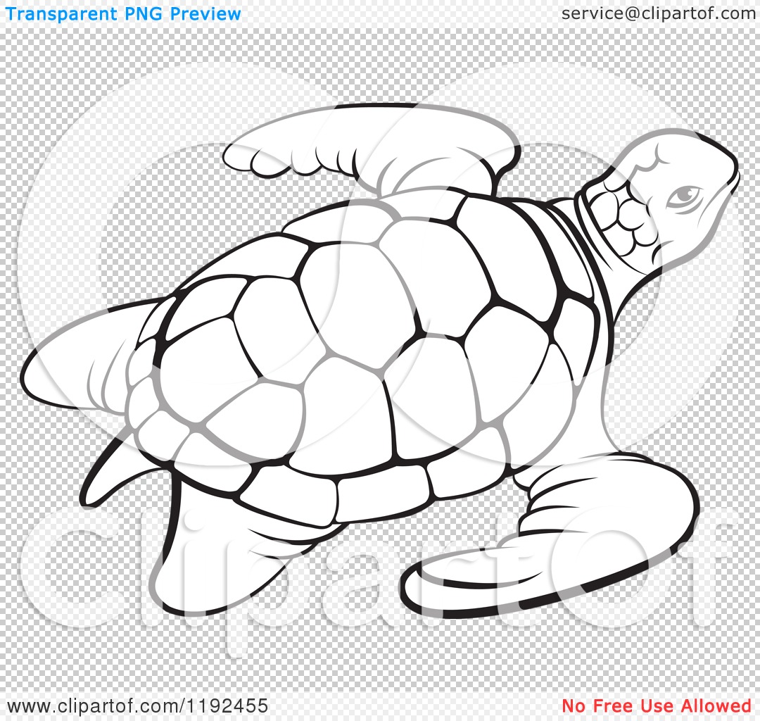 Clipart Of A Black And White Sea Turtle   Royalty Free Vector