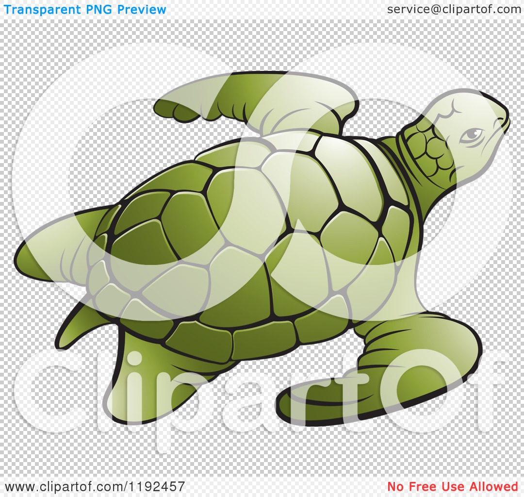 Clipart Of A Green Sea Turtle   Royalty Free Vector Illustration By