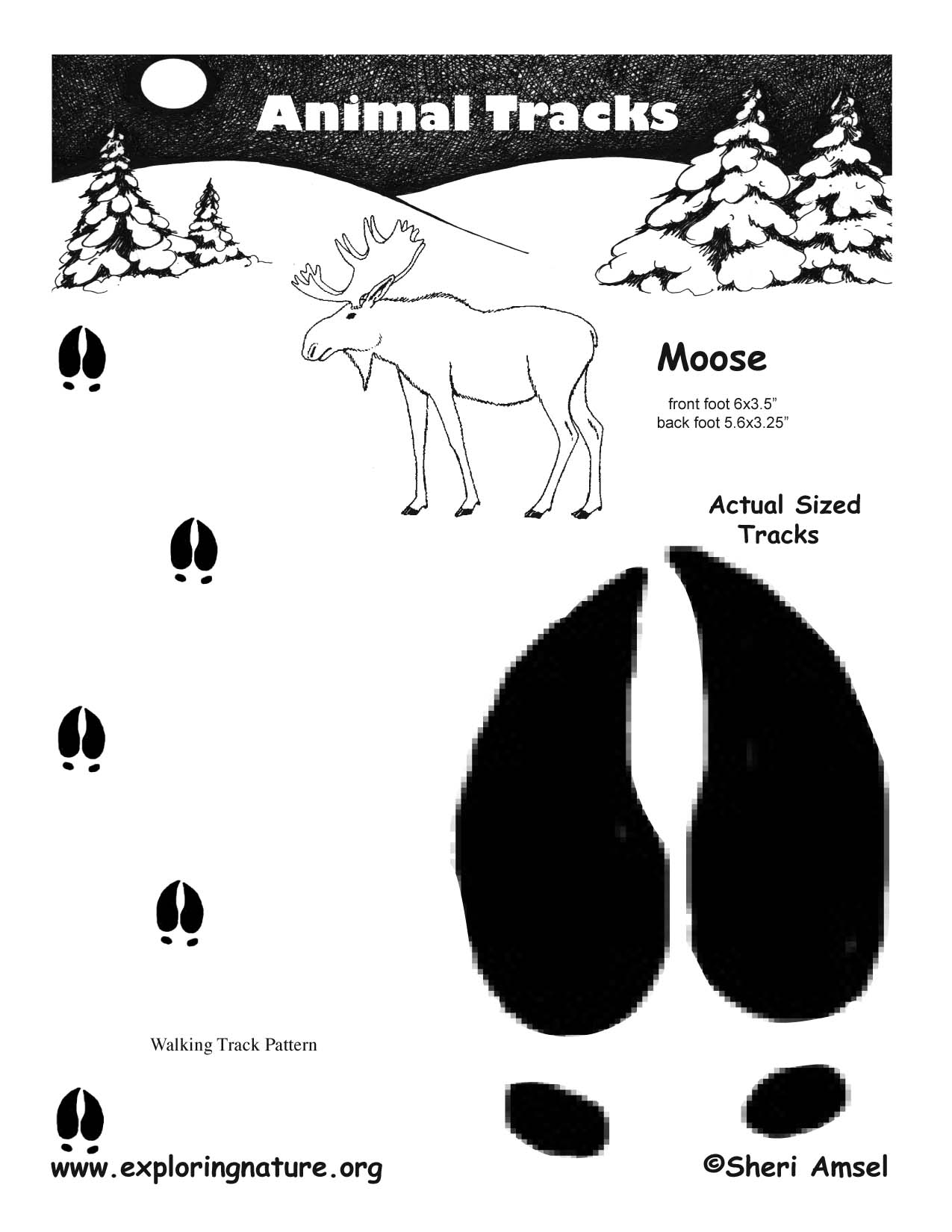 Moose Tracks Clip Art