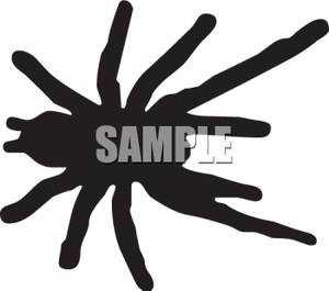 Scary Black Spider   Royalty Free Clipart Picture