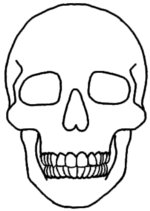 Simple Skull Drawings   Clipart Best
