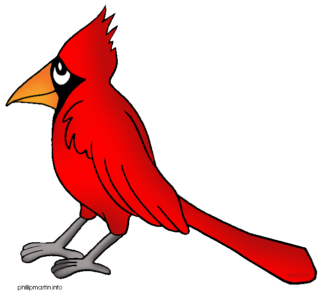 Cardinal Bird Clipart   Animalgals