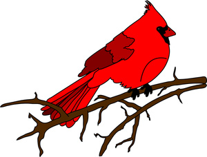Cardinal Clipart Image   Cardinal Bird Sitting On A Branch