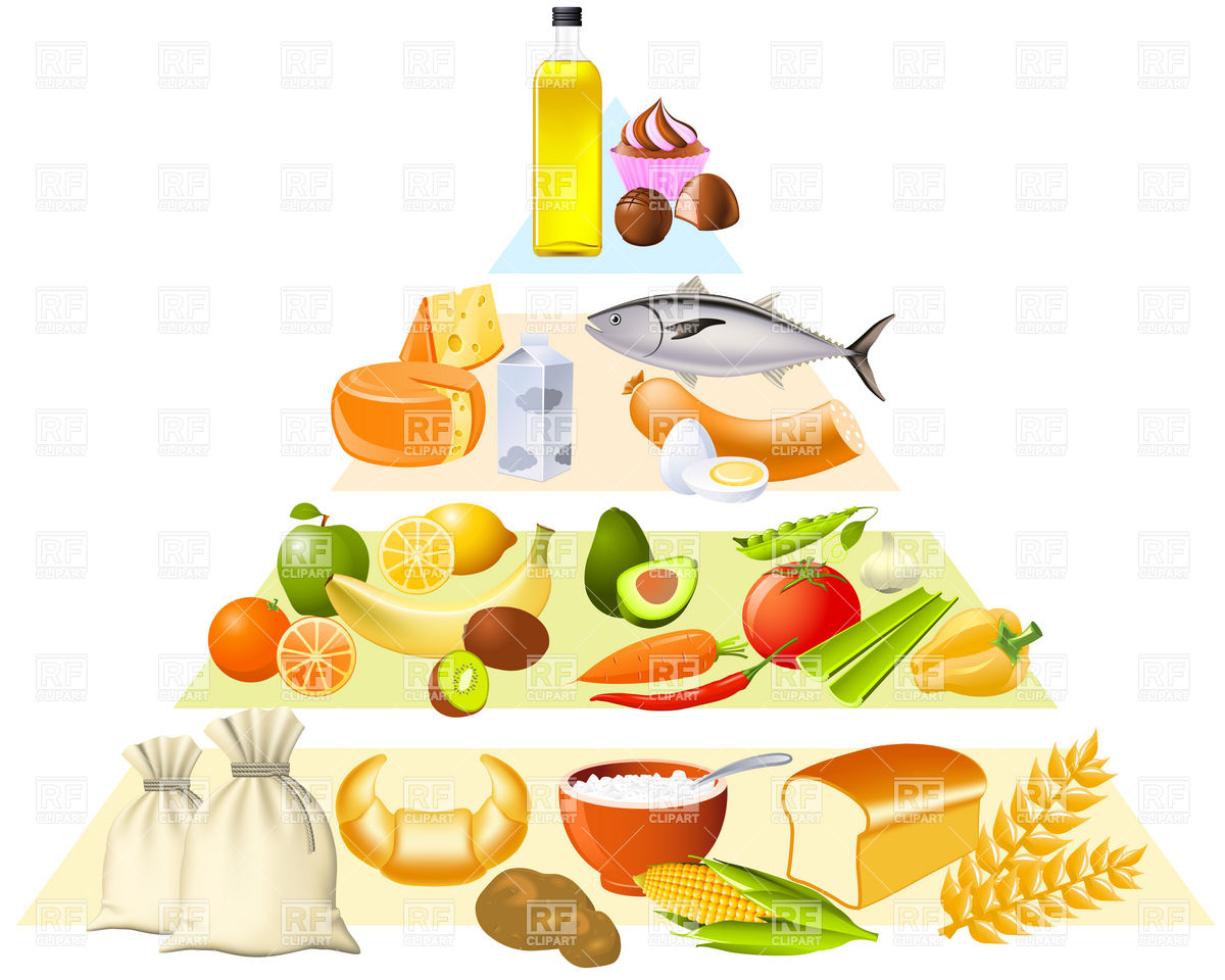Clipart Catalog   Food And Beverages   Food Pyramid Download Royalty