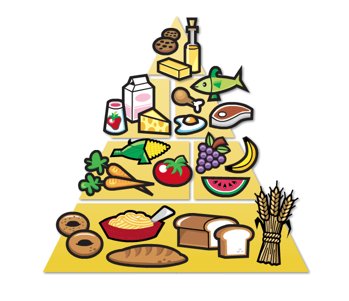 Food Pyramid Clipart   Clipart Panda   Free Clipart Images