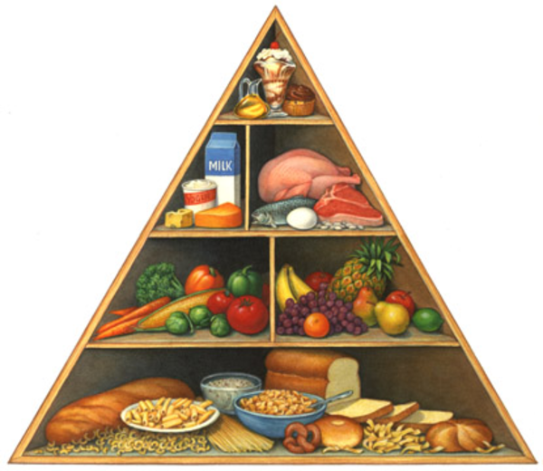 Nutrition Pyramid   Free Images At Clker Com   Vector Clip Art Online