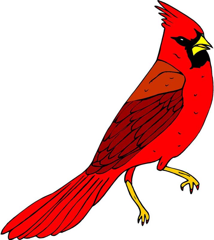 Red Cardinal Bird Clip Art