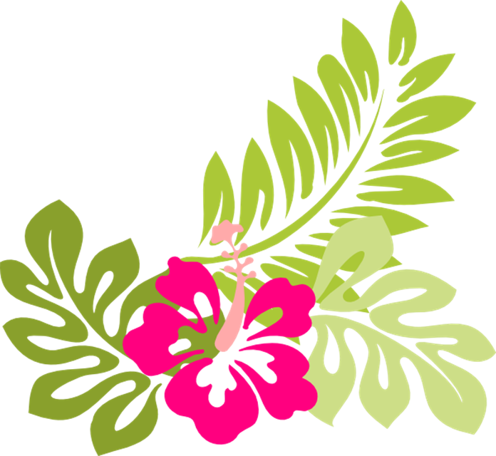 Tropical Flower Clip Art Flowers Clip Art Hawaiian Flower Clip Art    