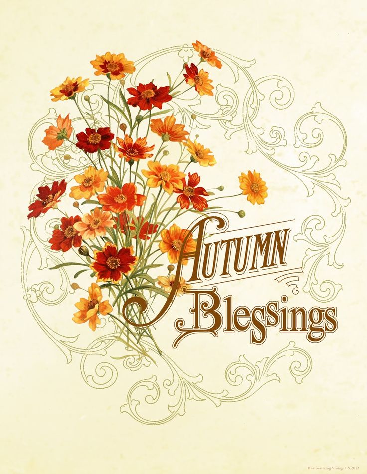 Autumn Blessings Clip Art   Autumn Delights   Pinterest