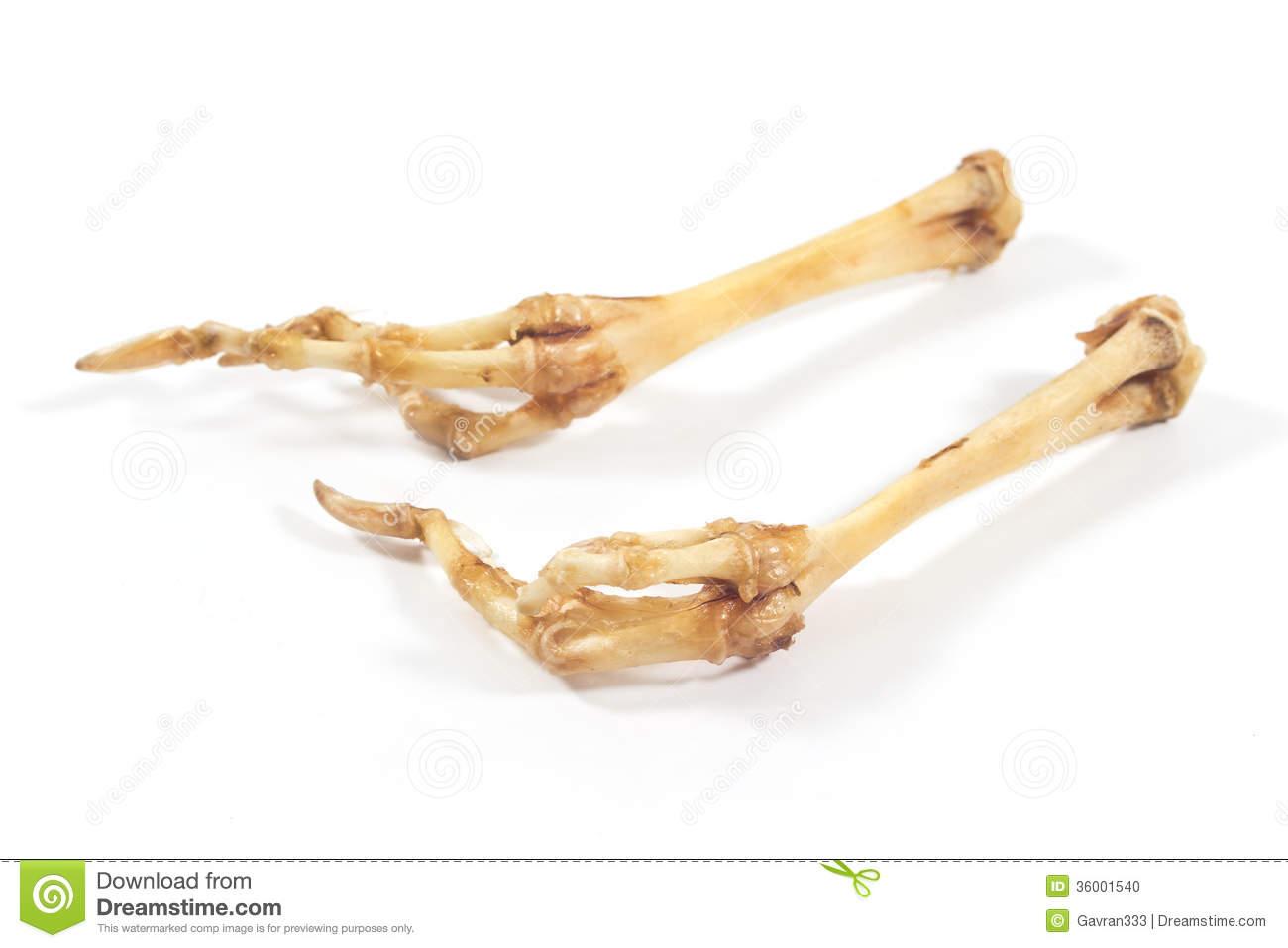 Bird Legs Skeleton On White Mr No Pr No 0 579 0