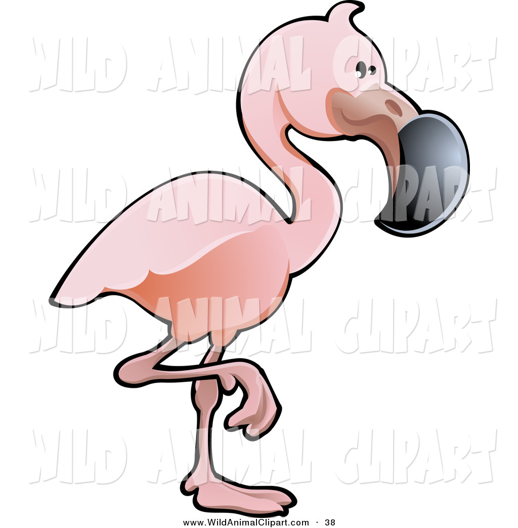 Clip Art Of A Cute Pink Flamingo Bird With A Black Beak Standing On    