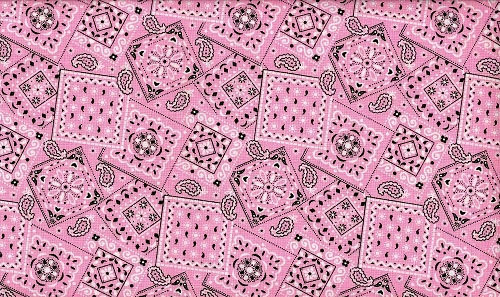Pink Bandana Material For Pinterest