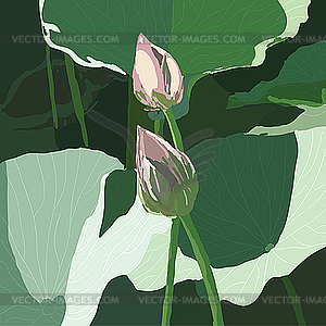 Realistic Oriental Lotus   Flower   Vector Clip Art