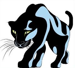 Tags Panther Mammals Did You Know There Are Several Types Of Panthers