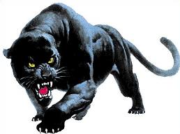 Tags Panther Mammals Did You Know There Are Several Types Of Panthers