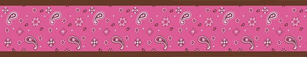     Western Wallpaper Border For Girls Bandana Pink Brown Paisley Print