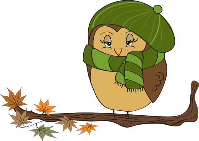 Clip Art Of A Fall Owl Female   Dixie Allan
