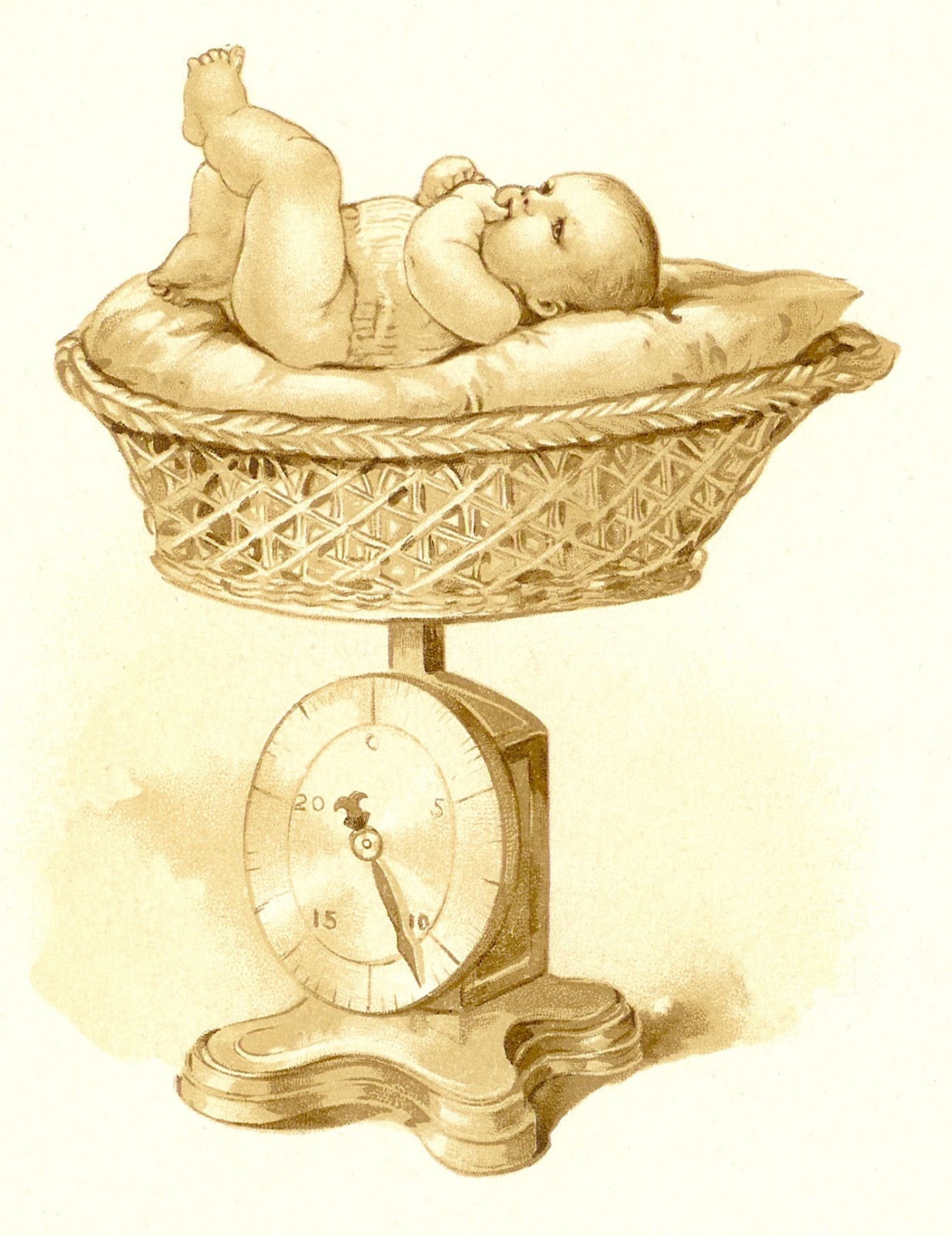 Images  Vintage Baby Clip Art  Baby Book Graphic Of Baby Being Weighed