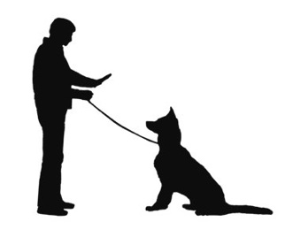 Master Dog Trainer In Essex Providing Professional Dog Obedience