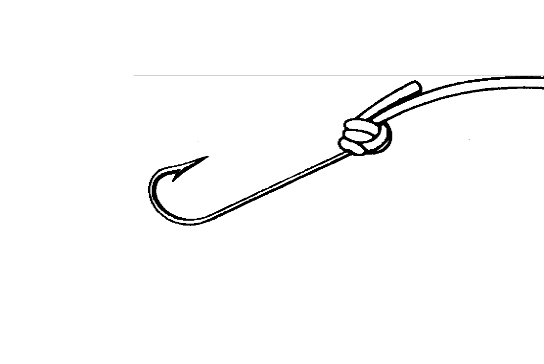 Palomar Fishing Knots Step By Step Illustrated Instructions On Palomar