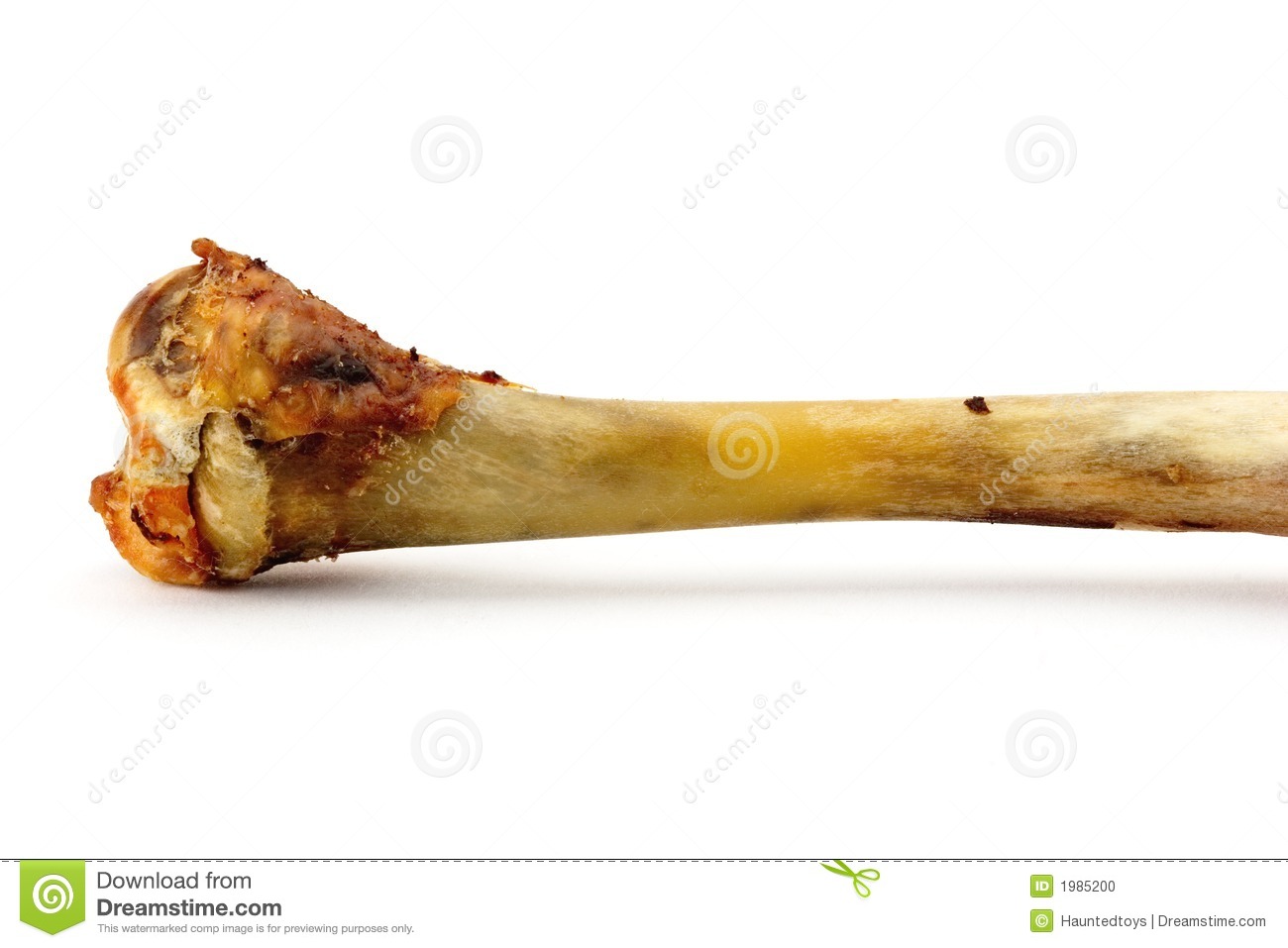 Chicken Bone Clipart