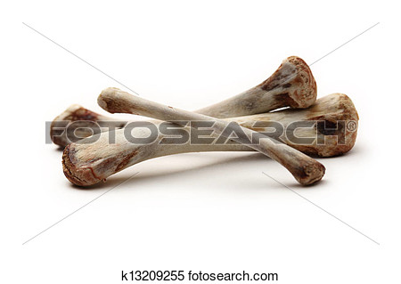 Chicken Bones On White Background View Large Photo Image