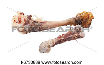 Chicken Bones View Large Photo Image