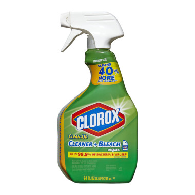 Clorox Clean Up Spray With Bleach   Original Scent   24 Oz   Dollar    