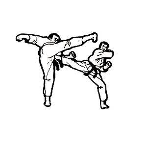 Karate High Kick Silhouette Clipart   Free Clip Art Images