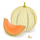Melon Clip Arts Et Images  1 725 Melon La Recherche D Illustrations