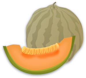 Musk Melon Clip Art At Clker Com   Vector Clip Art Online Royalty    