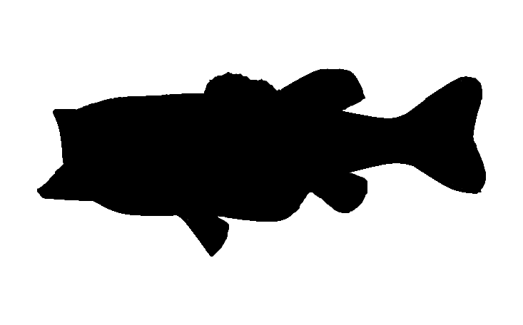 Showing Gallery For Bass Fish Silhouette Clip Art